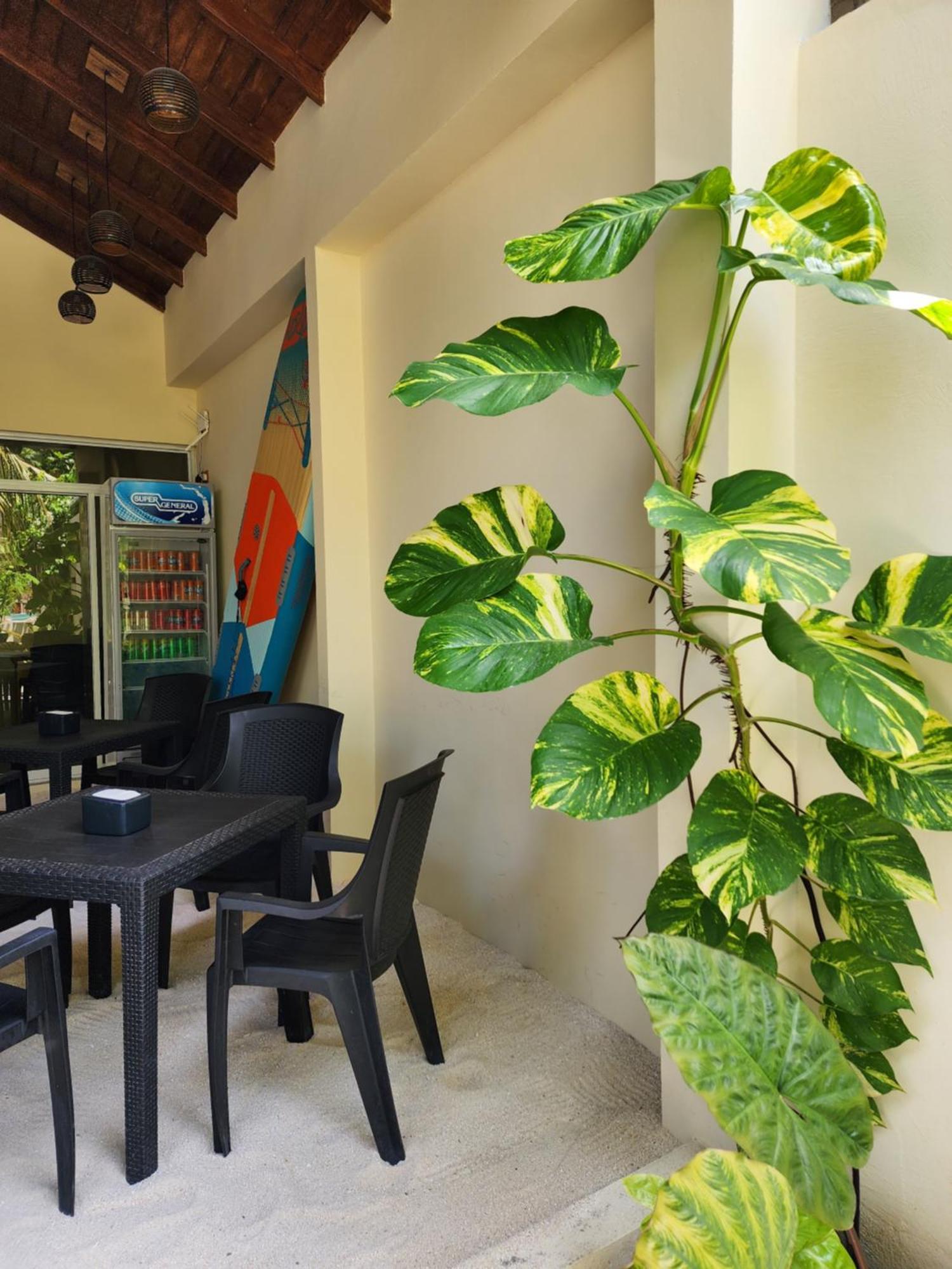 Dhigurah Dhonveli Boutique Ξενοδοχείο Εξωτερικό φωτογραφία